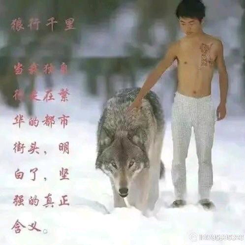 @守望者☜