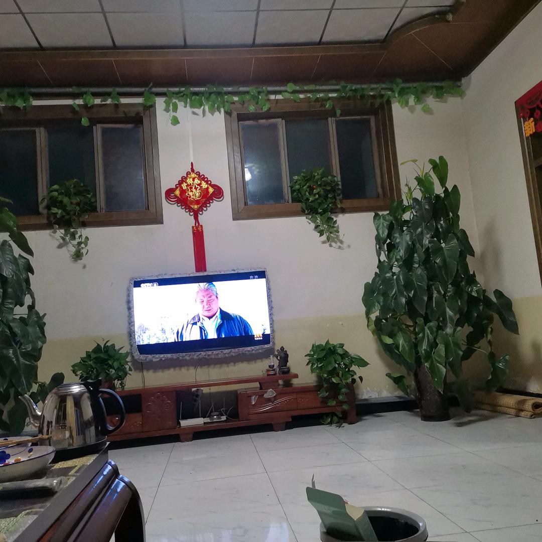 天天好心情