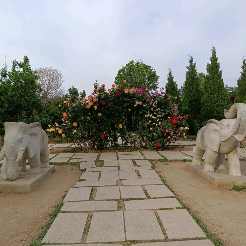 ꧁浅℘若ꩵ清风꧂