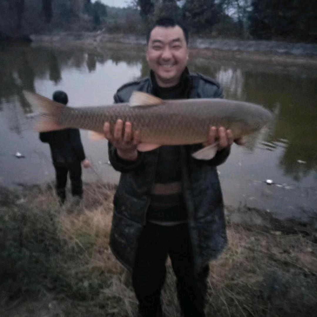 金苹果平安快乐（为自己而活）