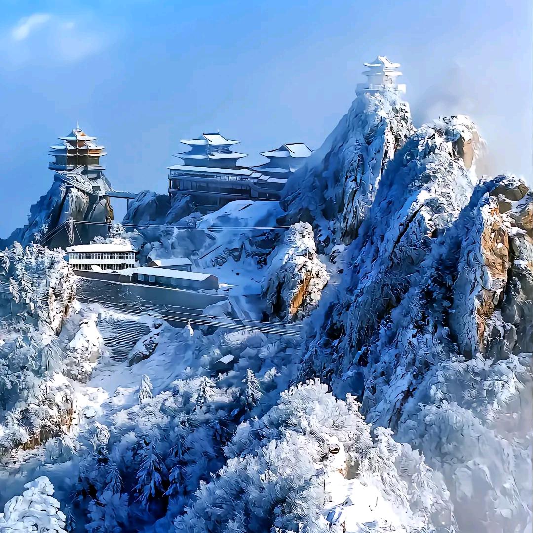 红尘过客