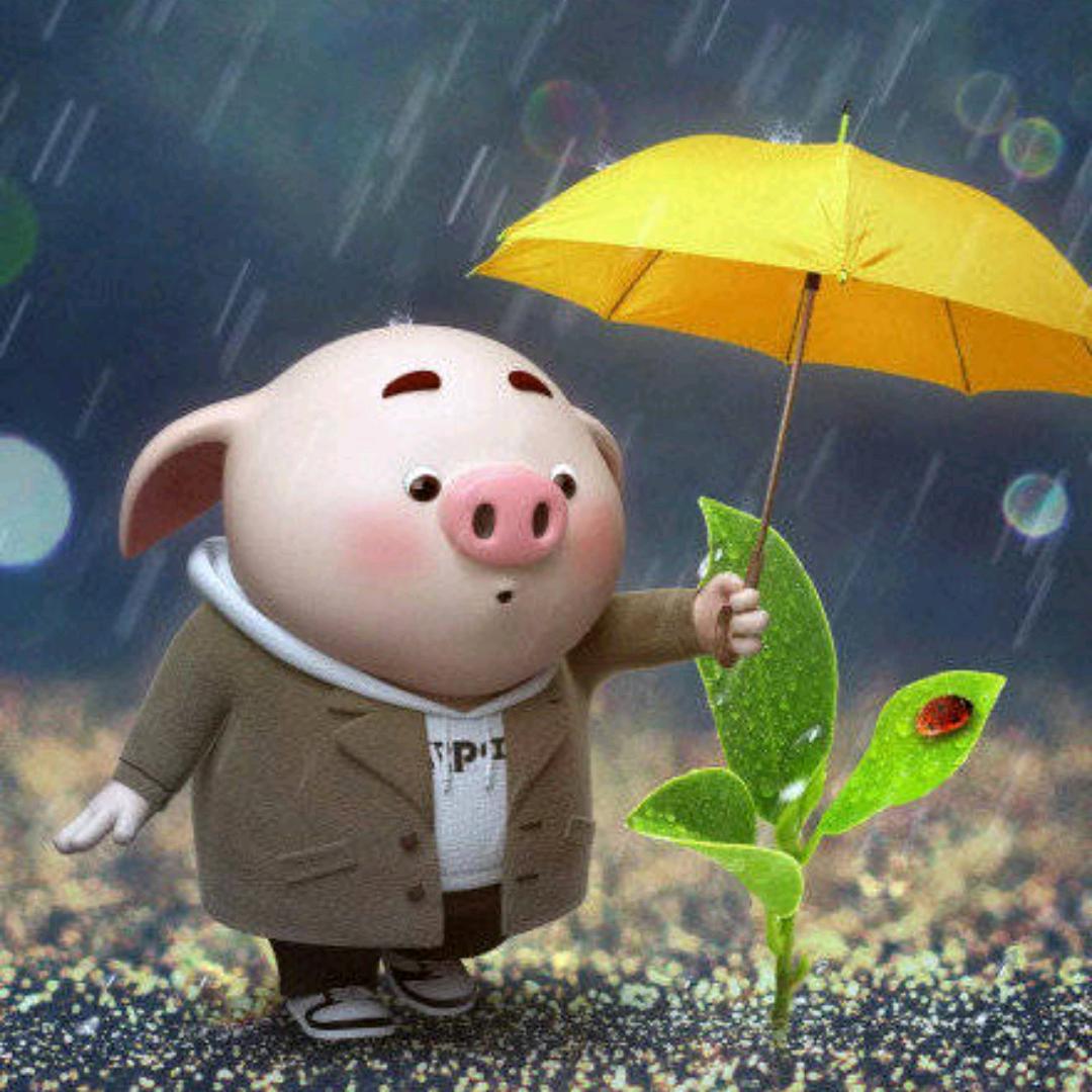 🌈🌈🌈酷**习