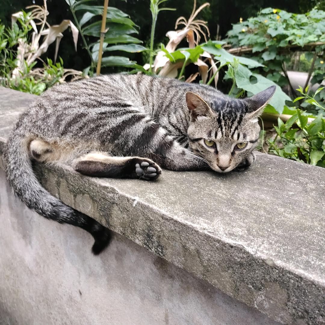 💞ღ᭄ꦿ幸福一生 ້໌ᮩ🌺ꦿ