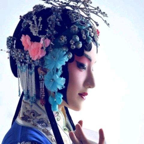 爱唱戏的小燕子