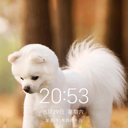 兜兜里有糖