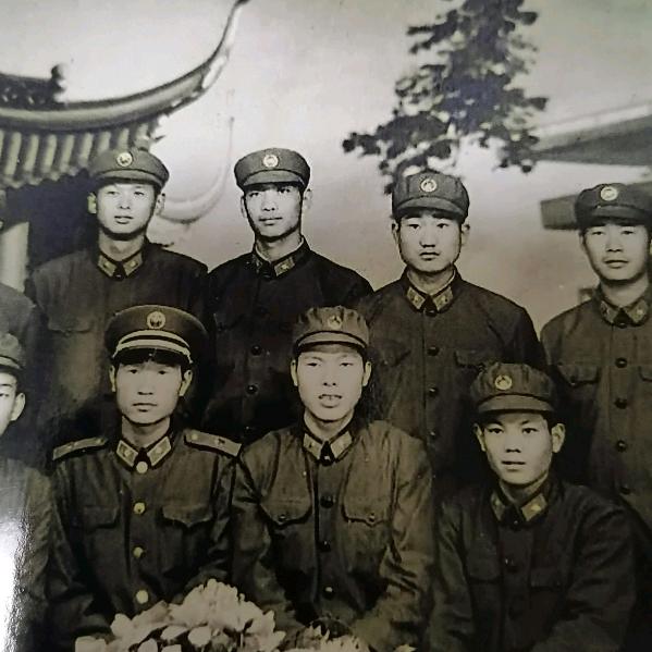 宁可糊涂