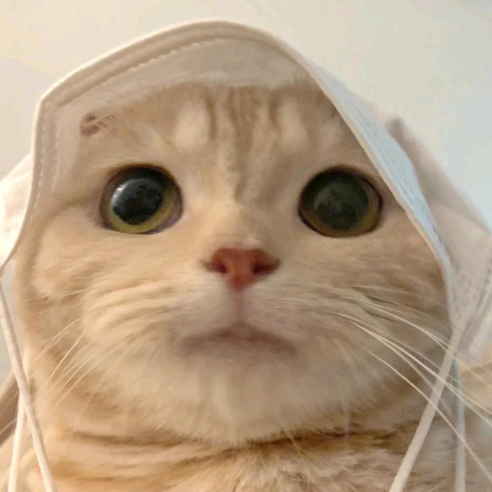 清祀si