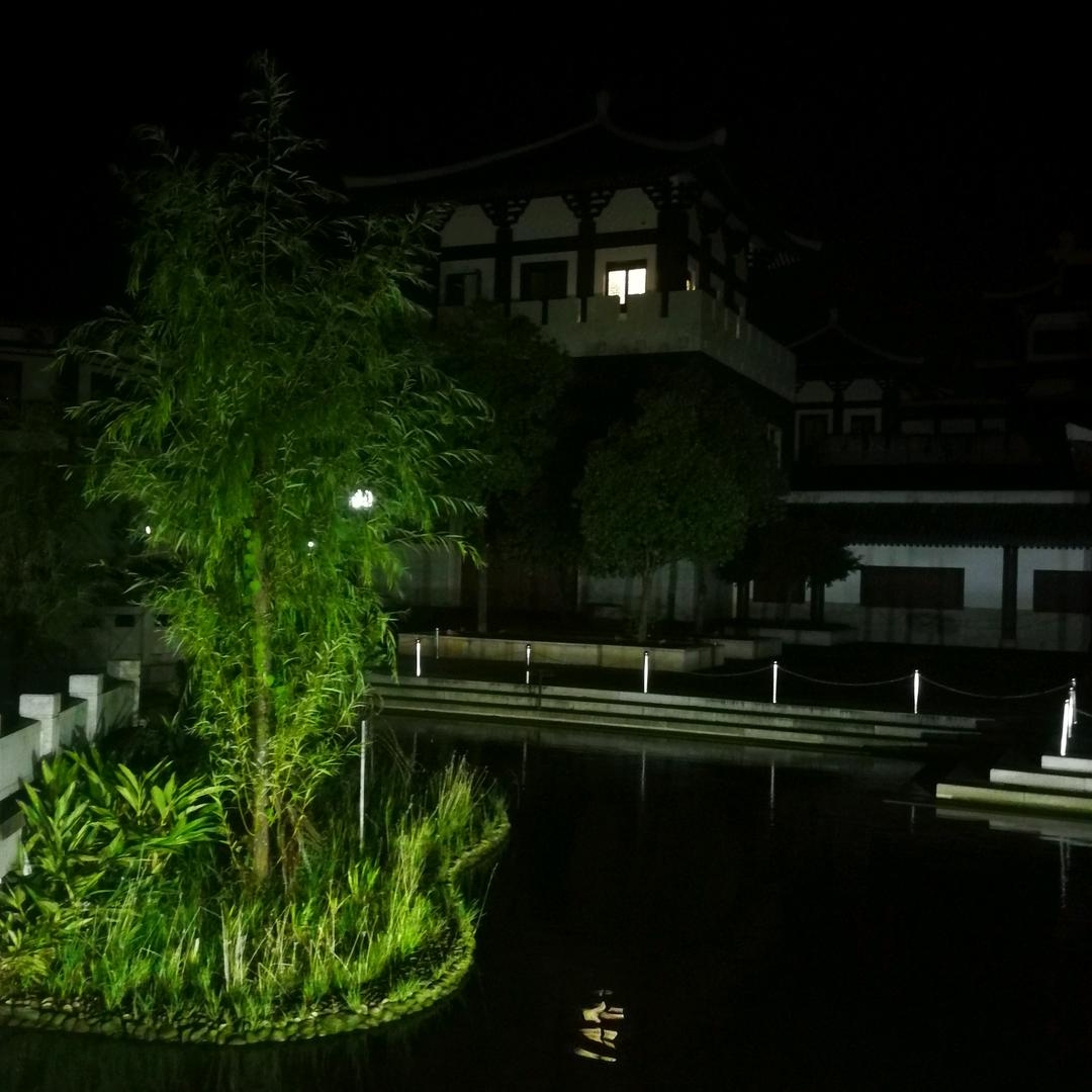 悲伤少女损花池