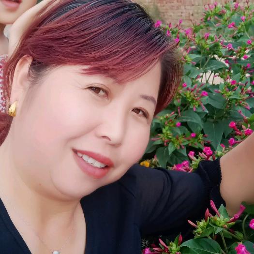 会飞的鱼