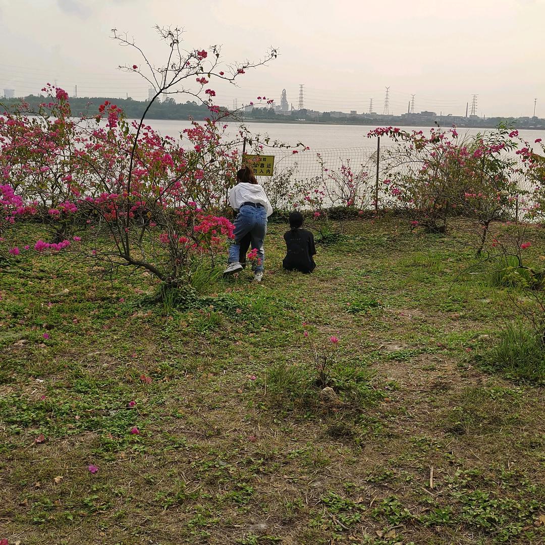 时间流逝
