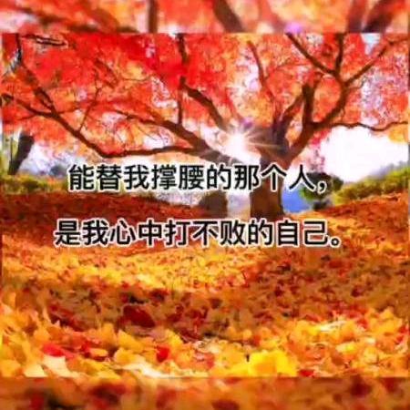 坚定前行