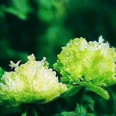 健康光影视角