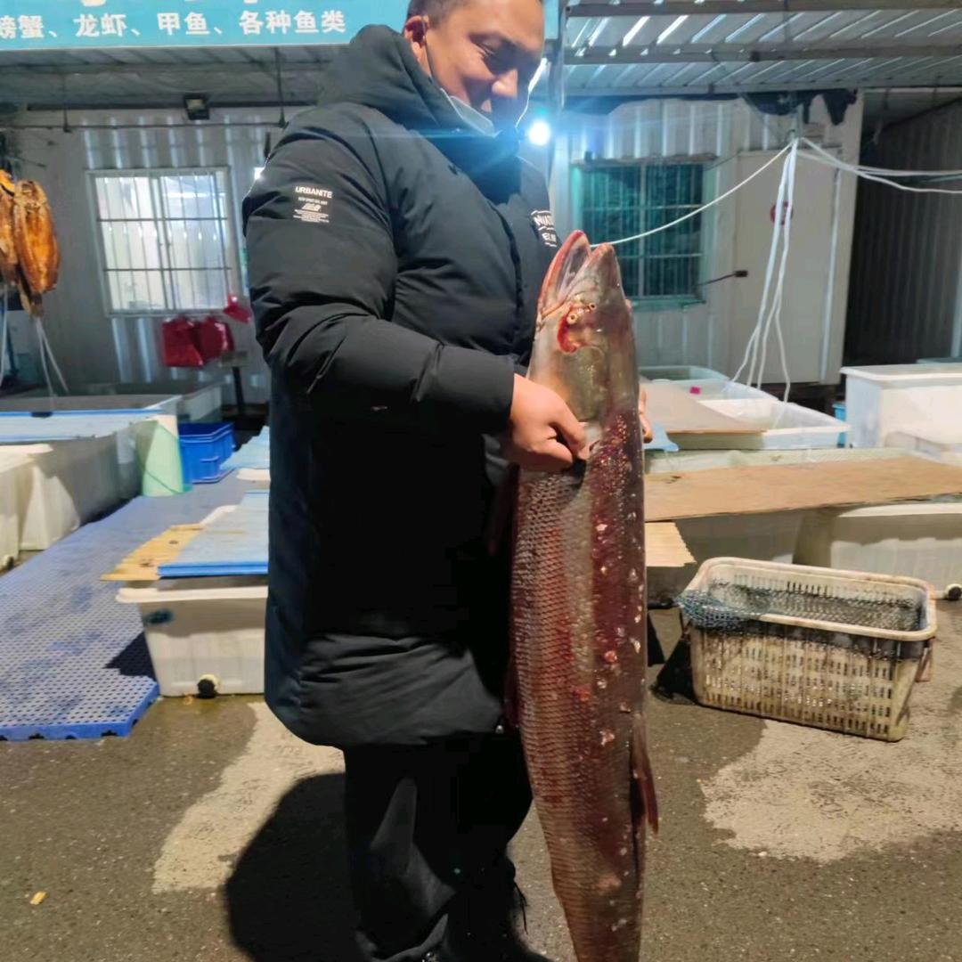 宿城区顺恒水产店（个体工商户）