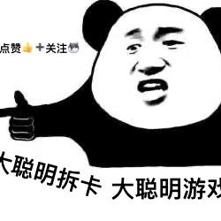大聪明