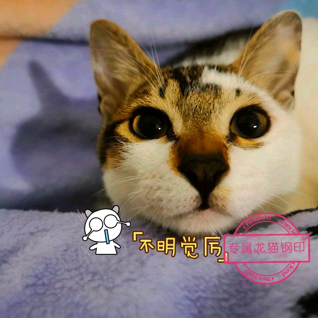 菜鸟