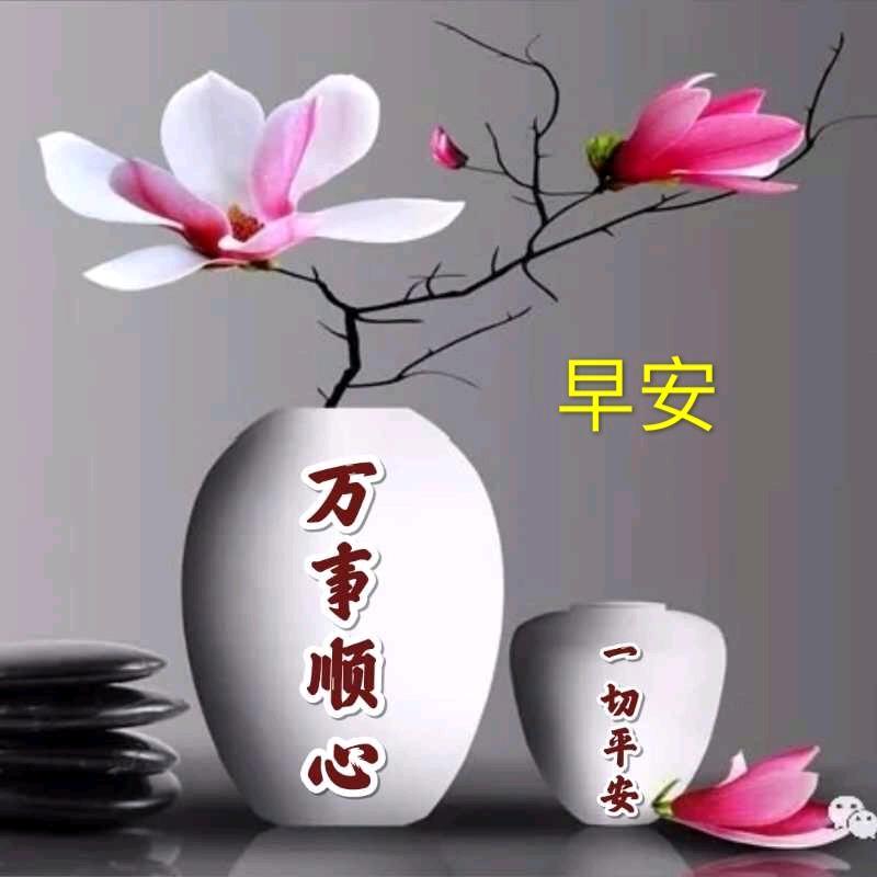 阳