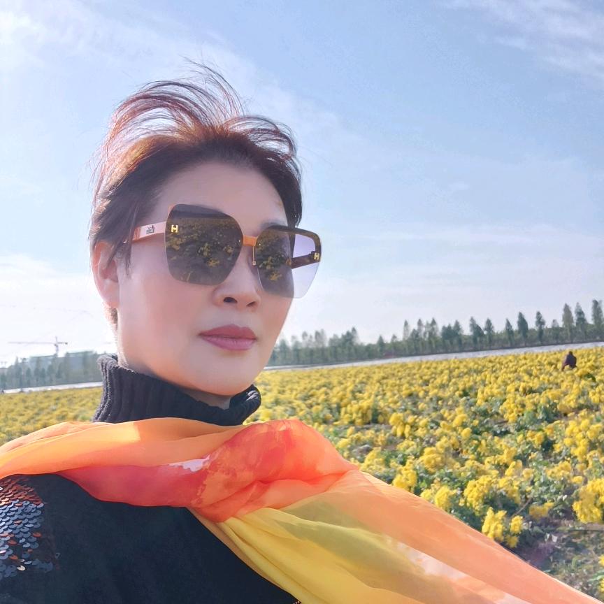 夏天的风夏天的风