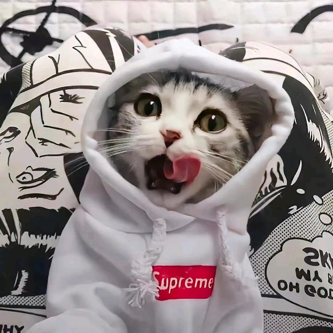 །哈哈