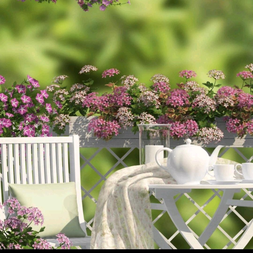 一生红红火火红伟