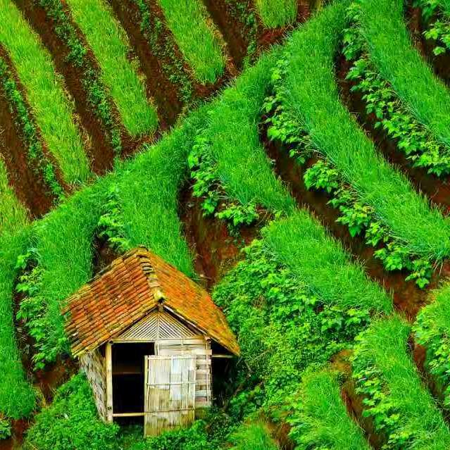 huxiang|iang