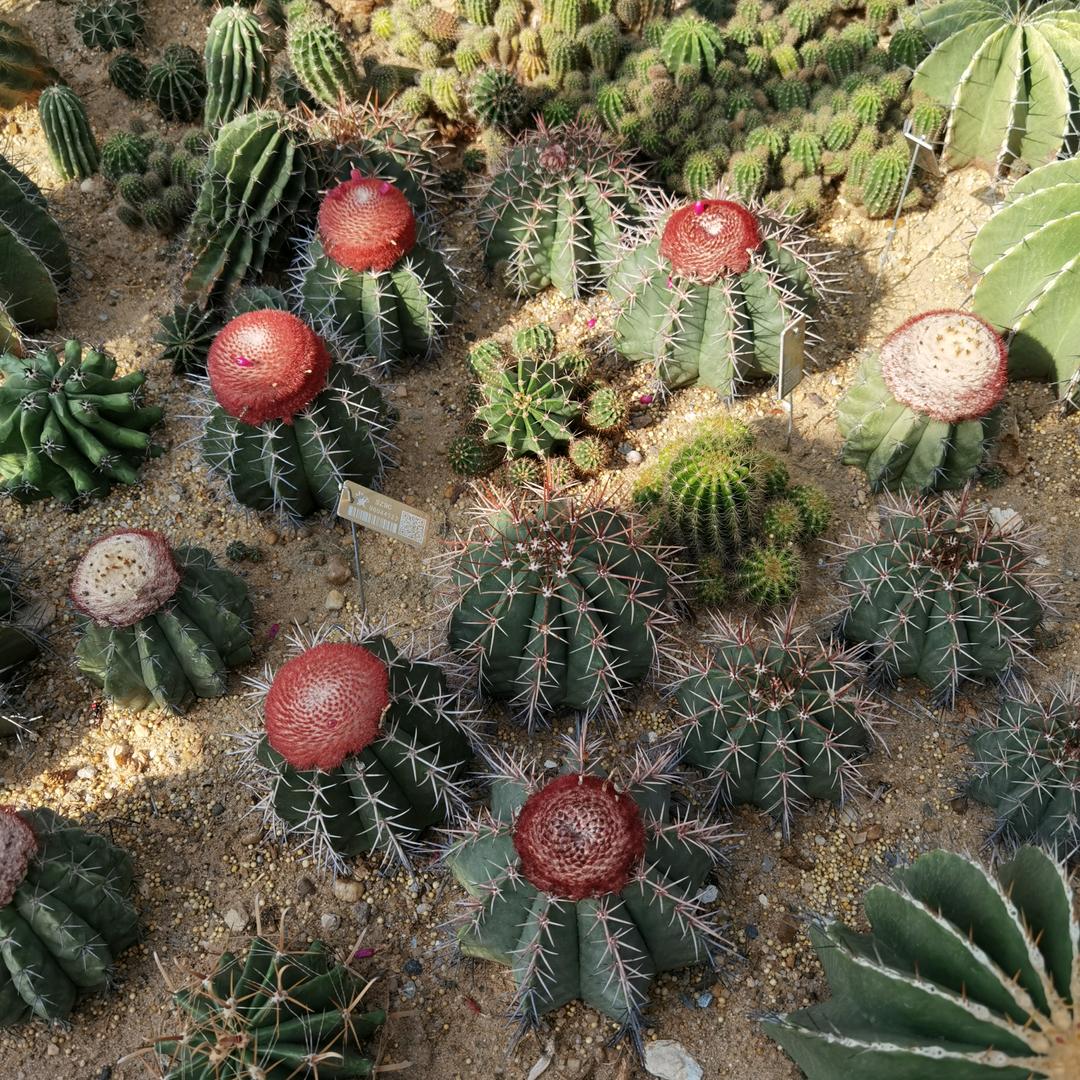 ໑ຼₒ₂₃ღ᭄儍吖頭🕊꧔ꦿ᭄💞