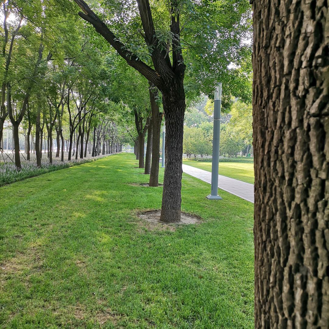 封