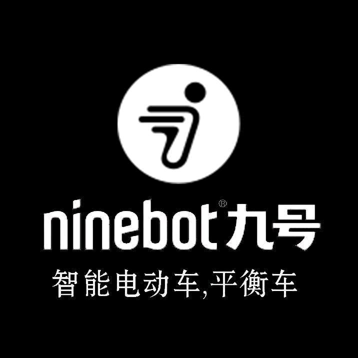 祁阳九号电动车