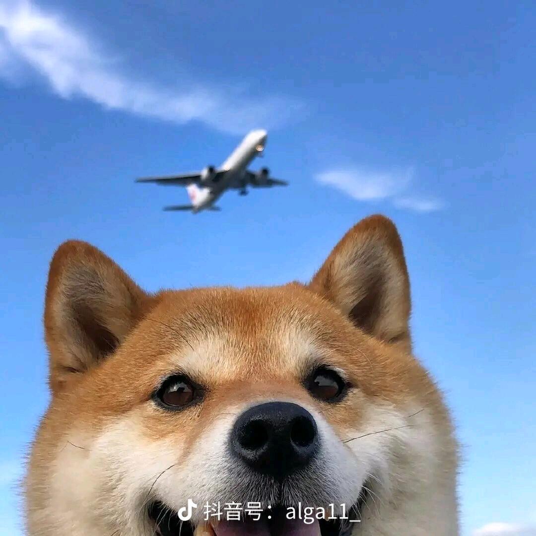 十二点睡觉