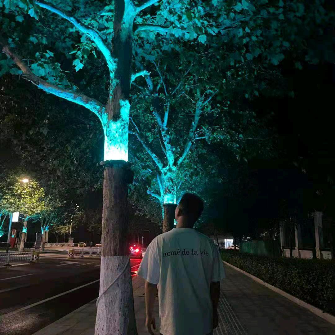 小禾与小口