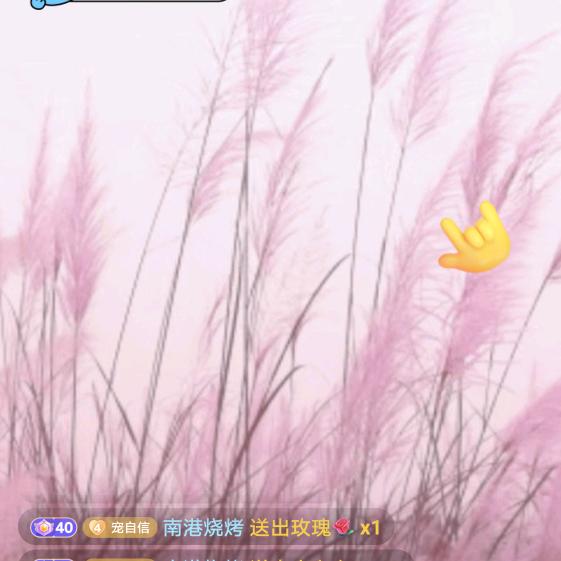 南港烧烤 （银海老店）