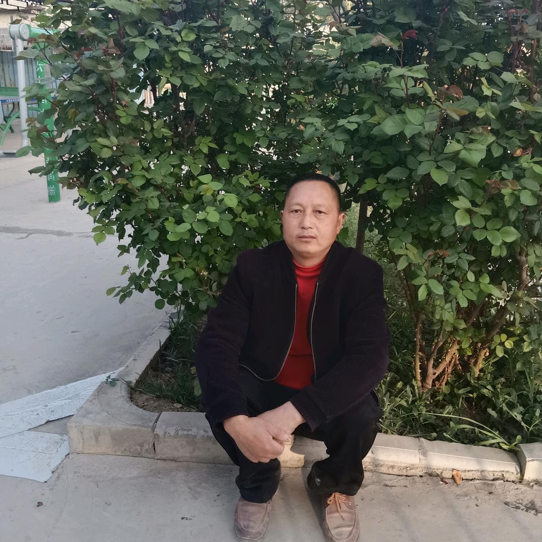 自由自在