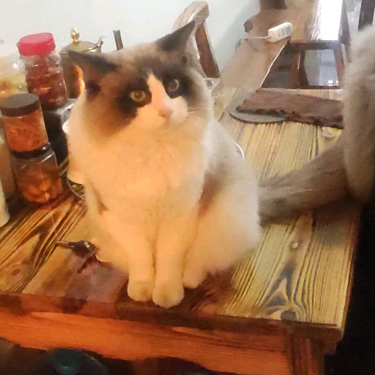 叫我小王（互关一下）