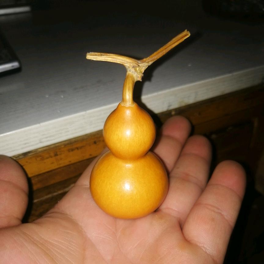寂寞的郎