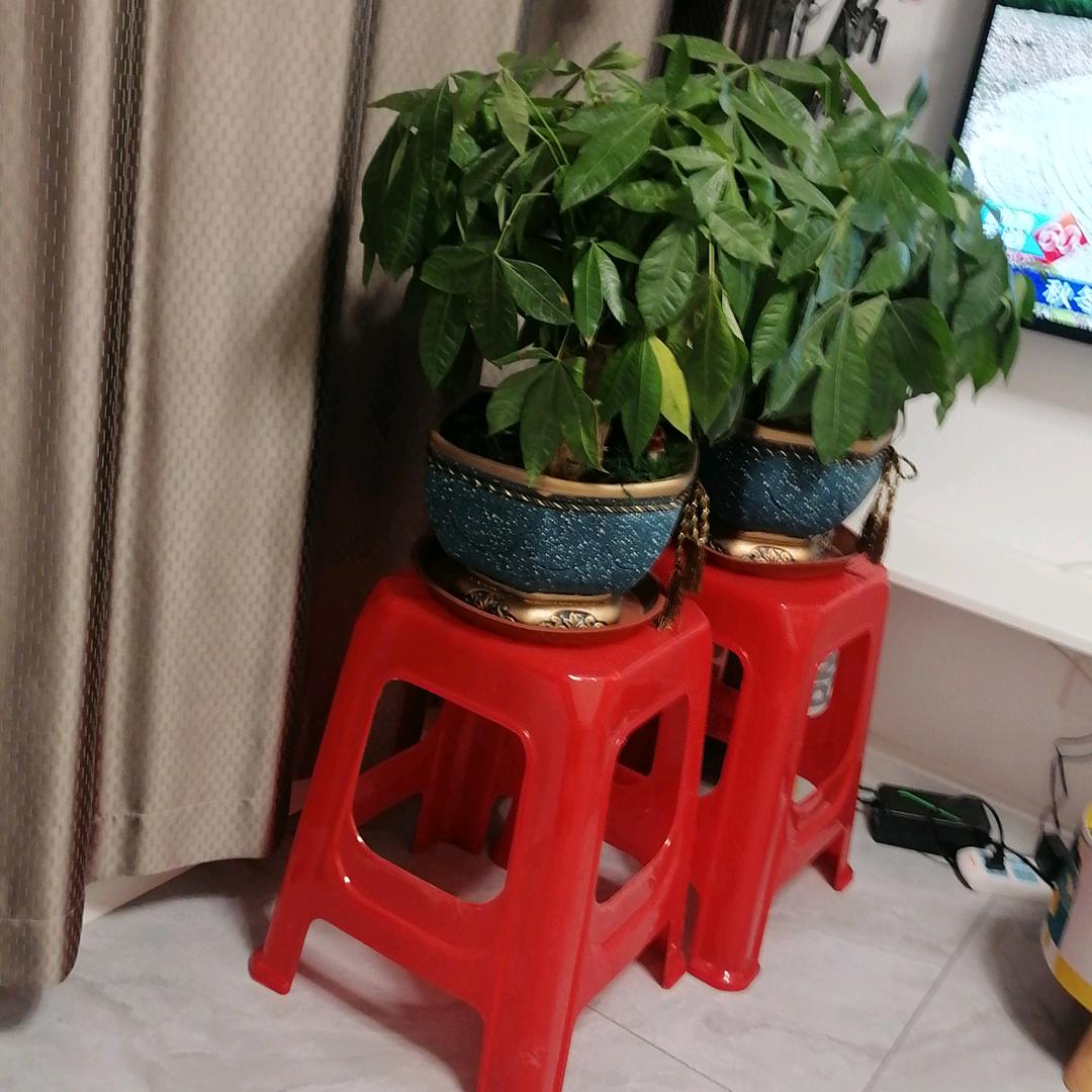 用户没事干