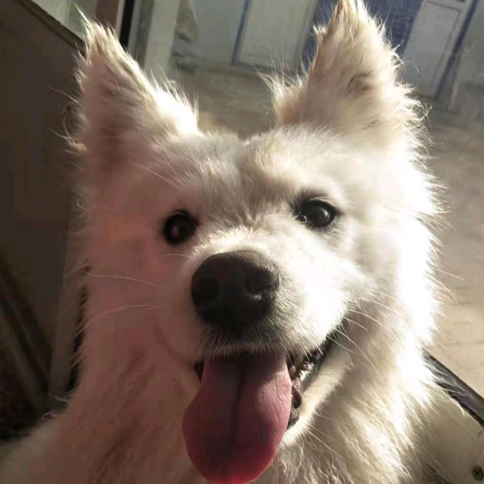 XX许愿