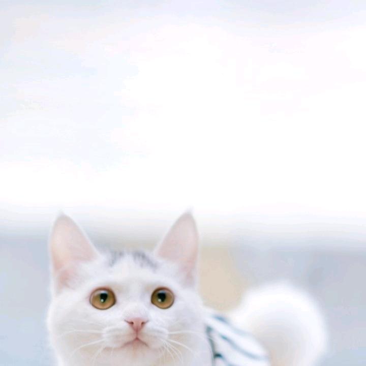 用户69313288头像