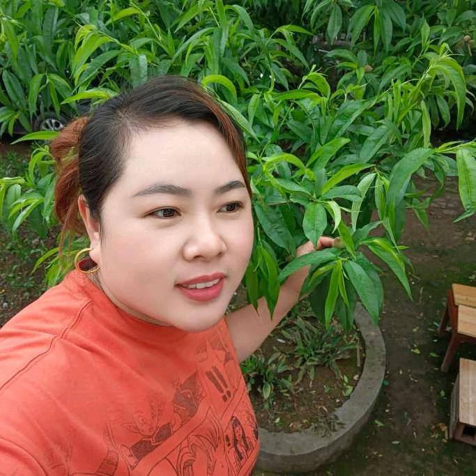 我要自由