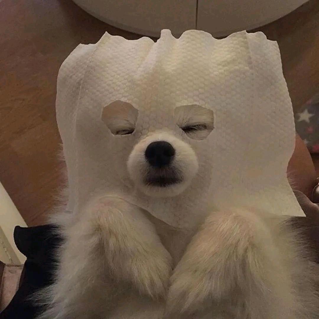 姚姚姚迪尔