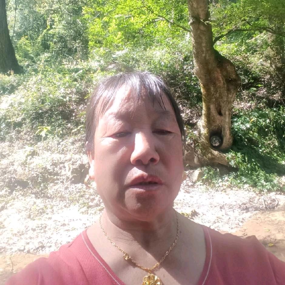 邹姐