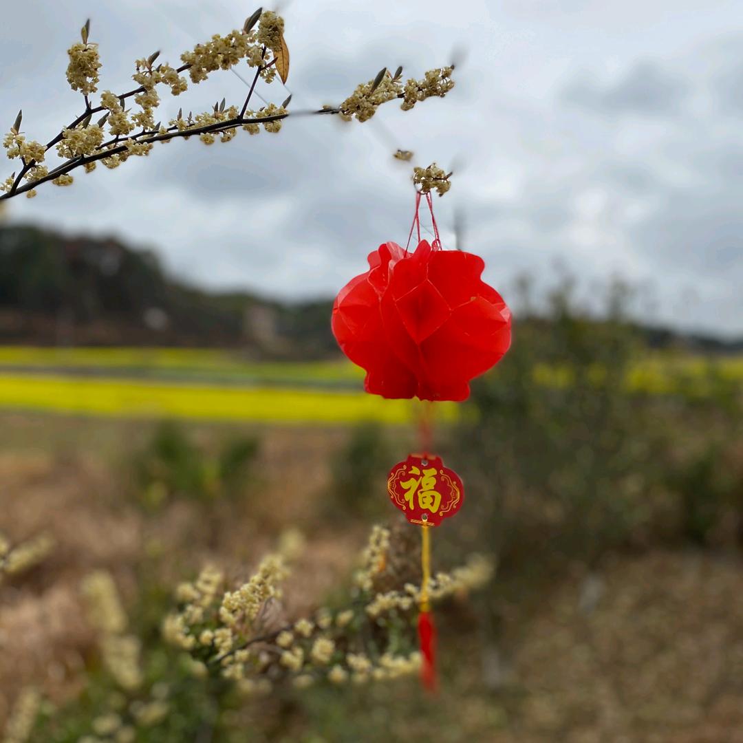 雨荷°初夏、