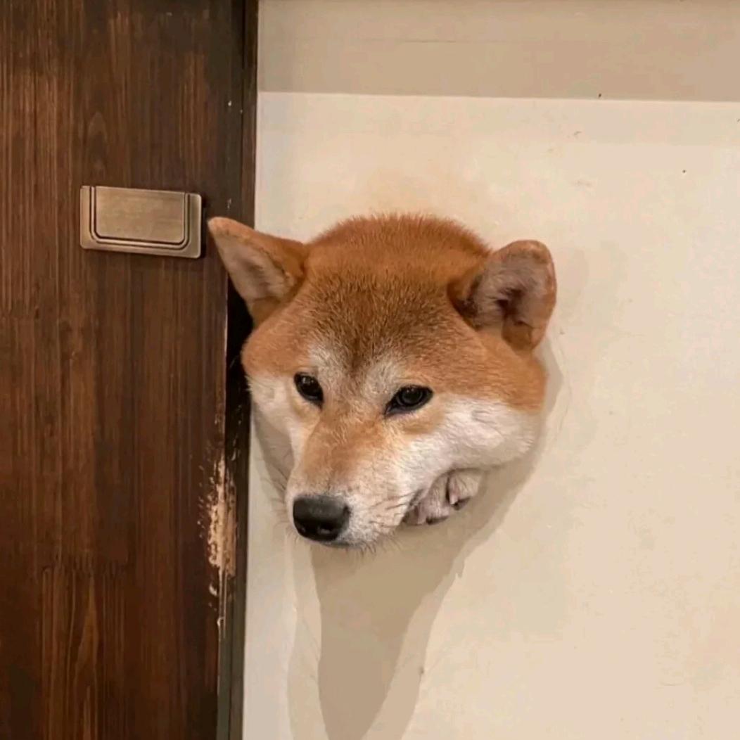 晚风.