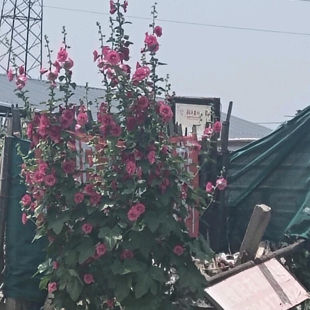 况哥，废旧物资回收鲅鱼圈