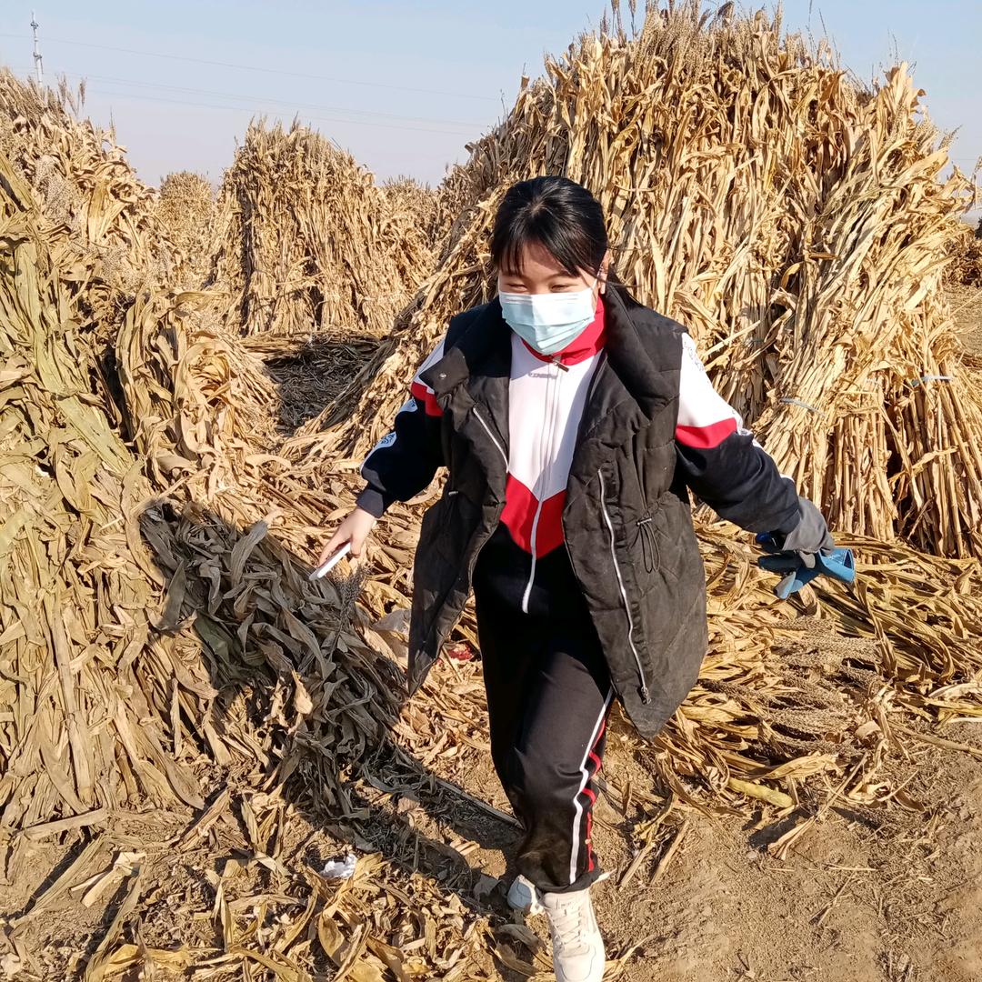 清静心居