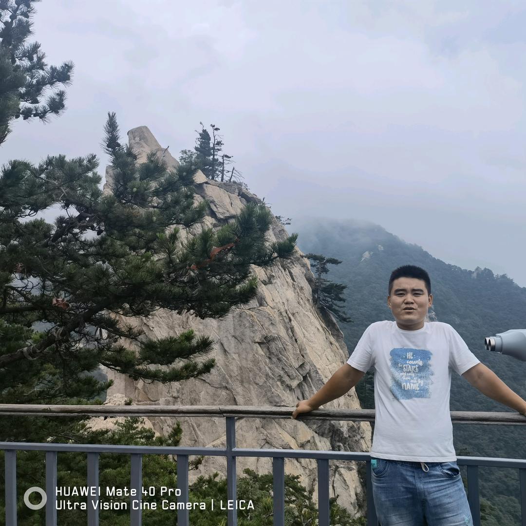 洋光种植专业合作社
