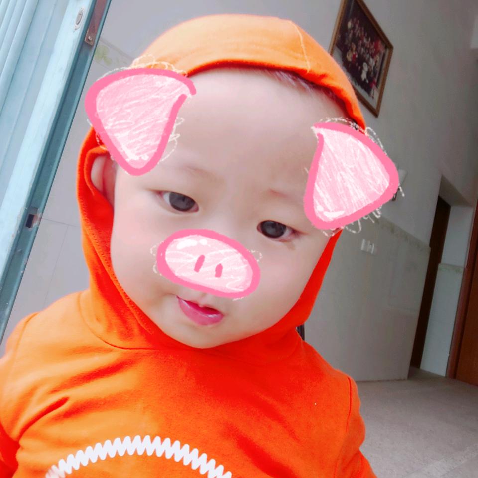 猪猪宝贝🐷