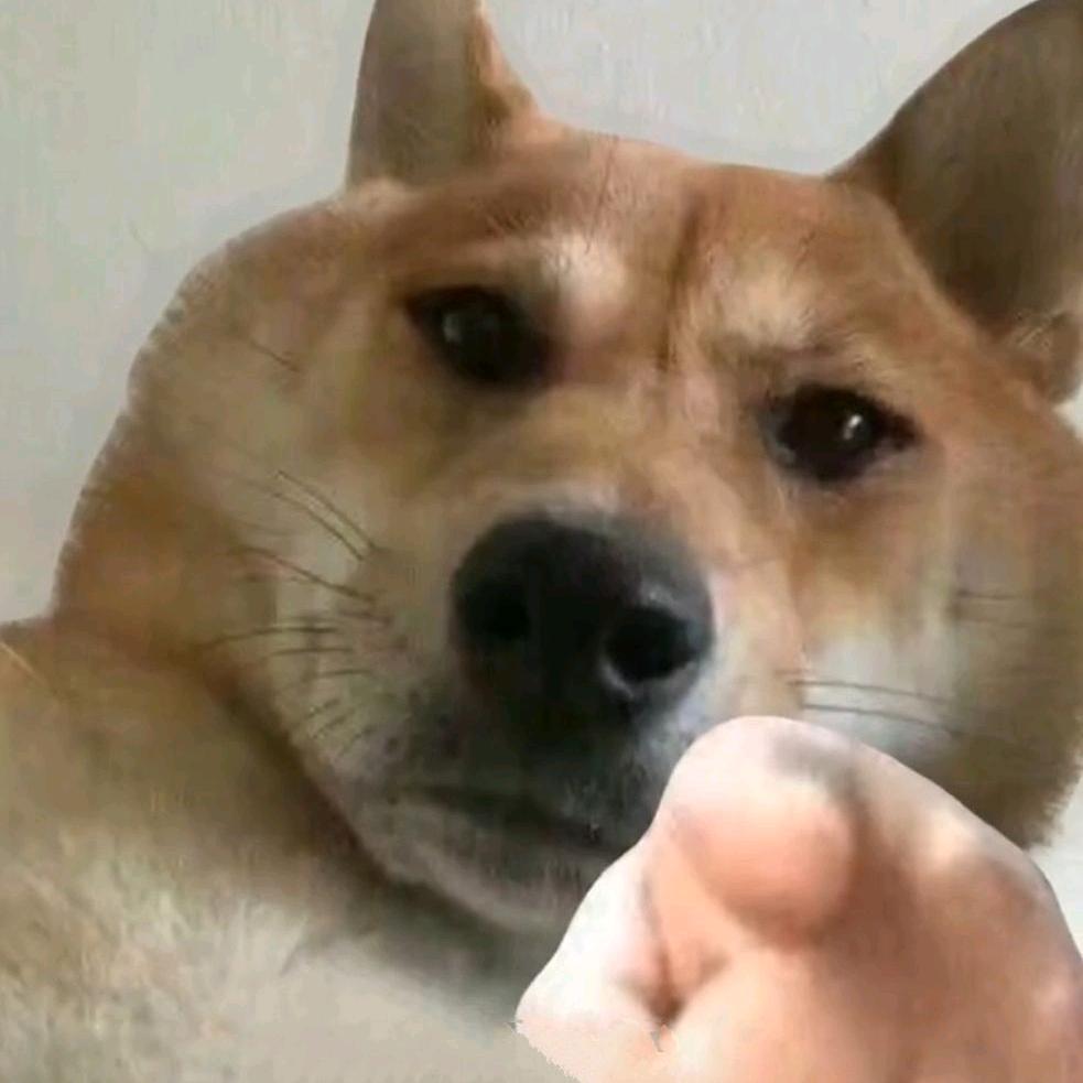 2333