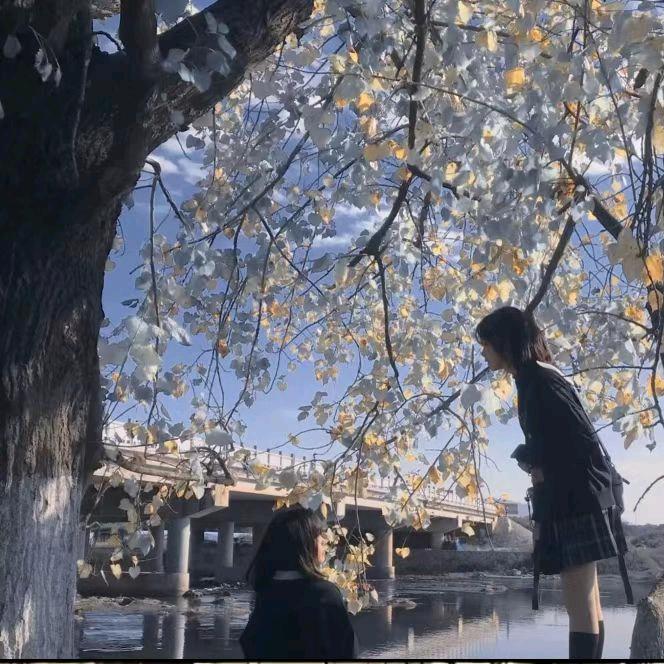 沫沫