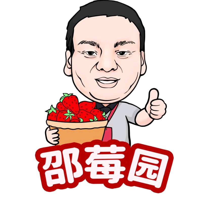 邵莓园（济南历城丰收家庭农场）