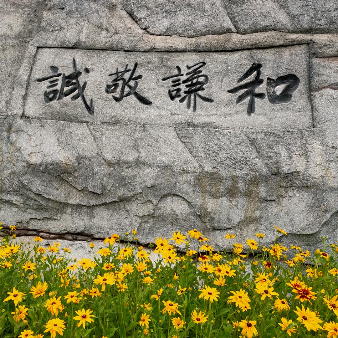 知一001