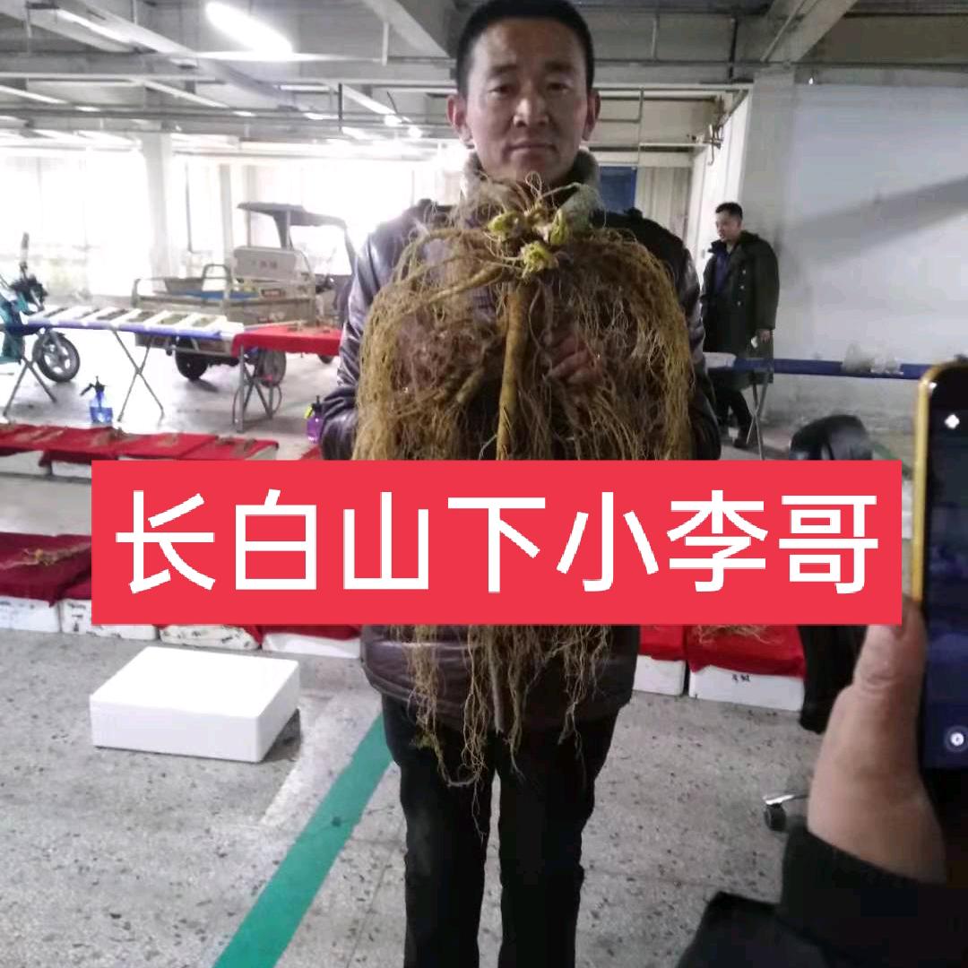 抚松县抚松镇鼎运特产行